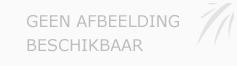 Afbeelding › Boekhoudkantoor Luyten & Partners bv